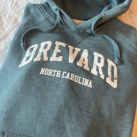 #299 BREVARD NORTH CAROLINA (VINTAGE WEAR) HOODIE - Picture 3 of 16